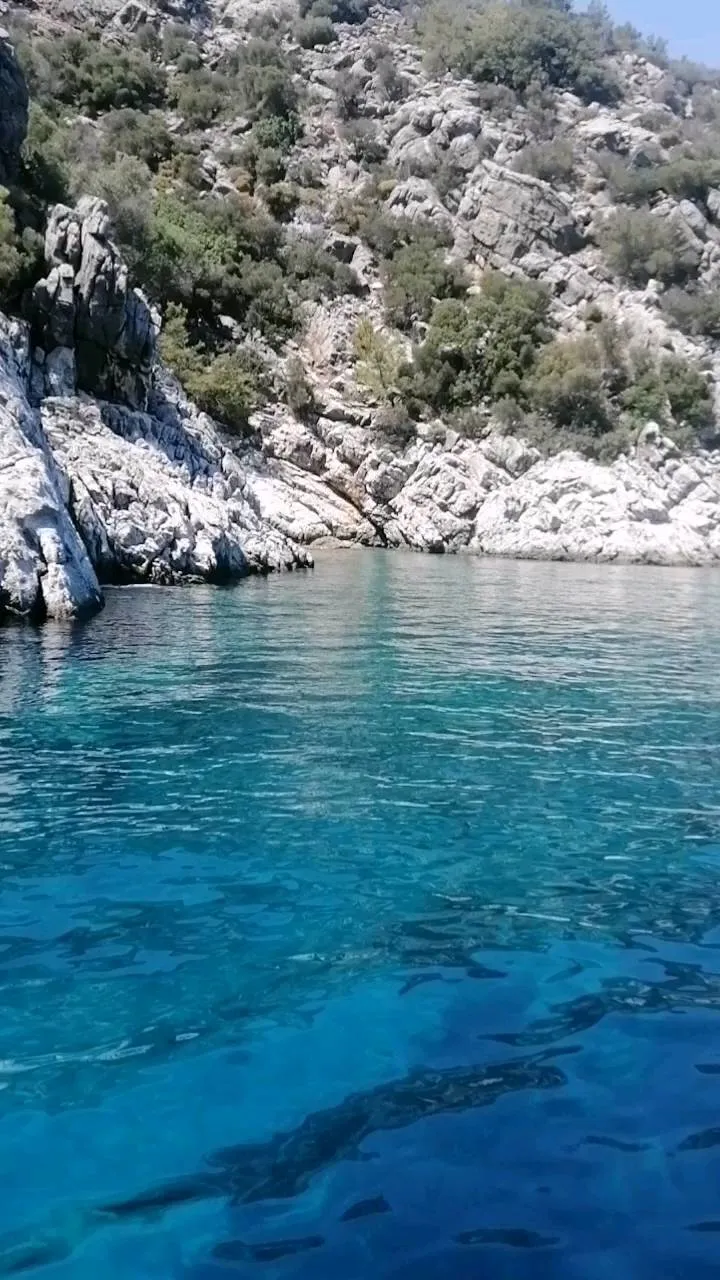 Anka Tur Datça özel tekne turu
